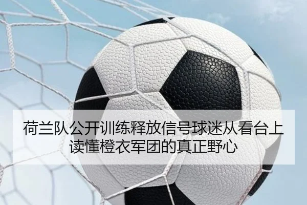 荷兰队公开训练释放信号球迷从看台上读懂橙衣军团的真正野心